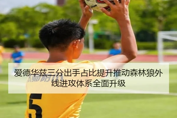 爱德华兹三分出手占比提升推动森林狼外线进攻体系全面升级