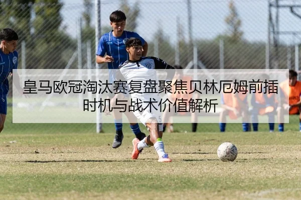 img_1783861698386_740_1_901.jpg